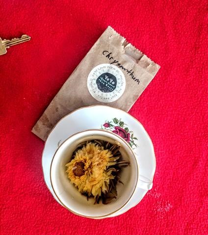 chrysanthemum blooming flower tea