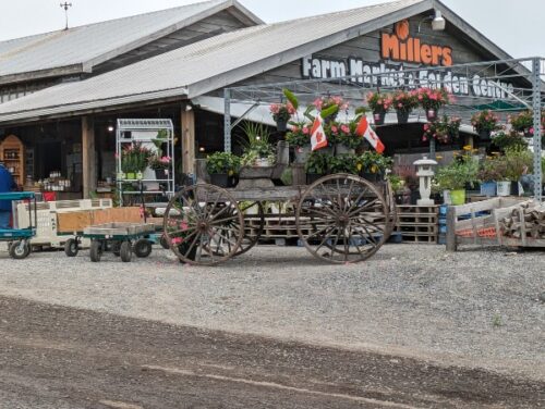 Millers farm market & garden centre entrance