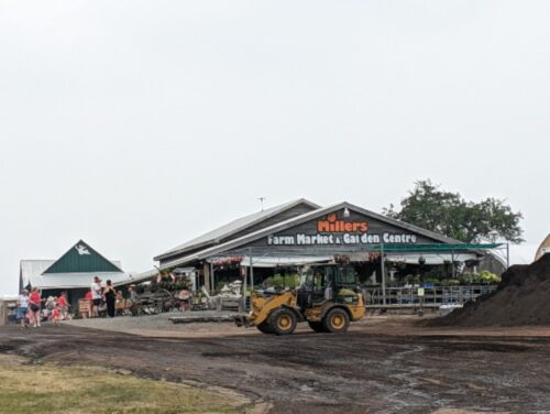Millers farm market and garden centre with tractor