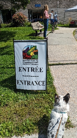 Merle Corgi beside entrance sign to Cumberland Farmers Market.