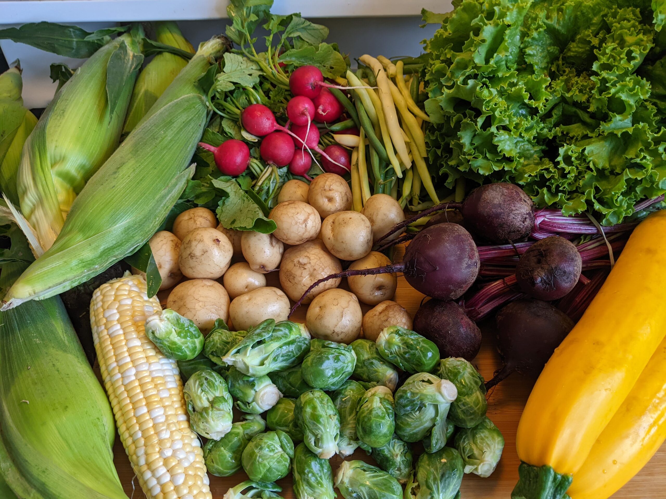 radishes, potatoes, zuchini and other vegetables from the kemptville farmers market. Picture taken from above.